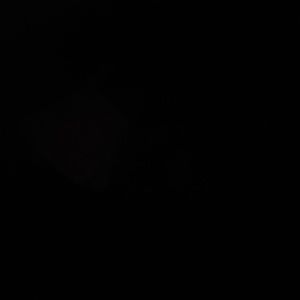 Meet your Posher, Cora